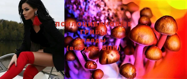 прущая мука Абаза